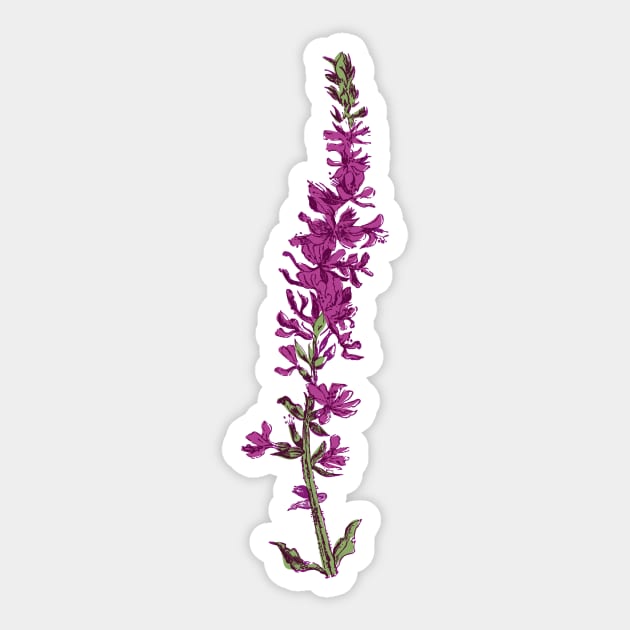 Vintage florals - Purple Loosestrife Sticker by VrijFormaat